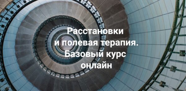 Расстановки и полевая терапия. Базовый курс 2024. Тариф Только теория [Елена Веселаго]