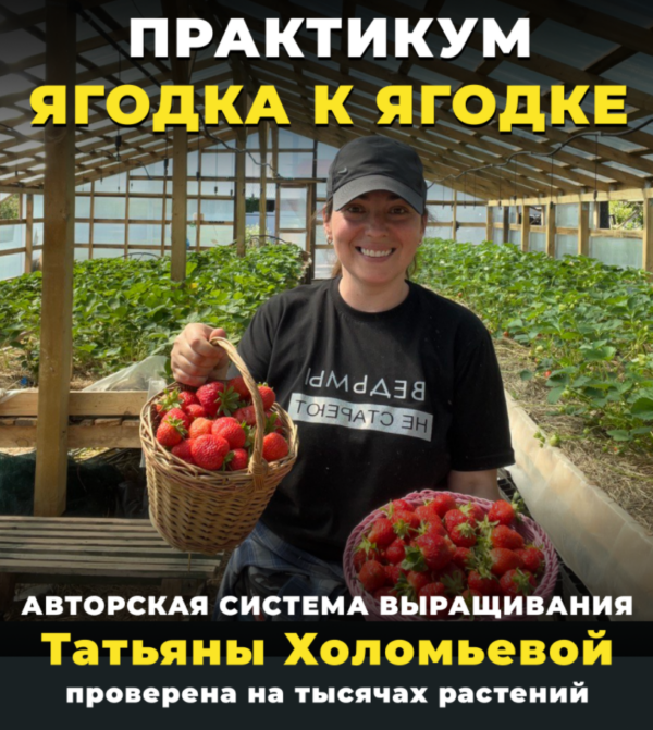 [Реальный садовод] Практикум ягодка к ягодке [Татьяна Холомьёва]